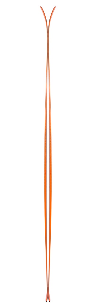 Ski Black Crows Vastus Freebird 2021