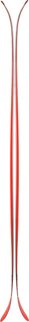 Ski Line Sir Francis Bacon Shorty 2020 
